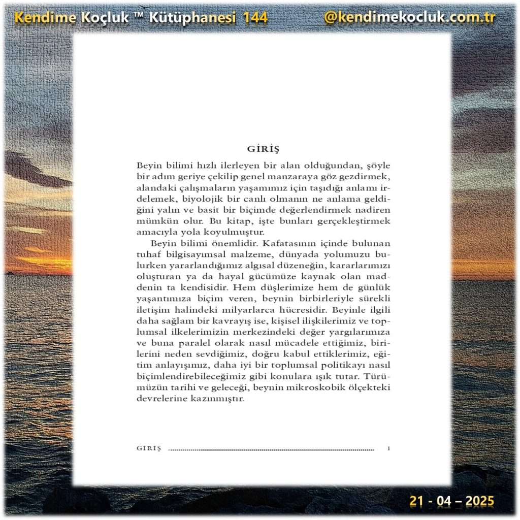 Kendime Koçluk - Kendine Koçluk - Kütüphane - David Eagleman - Beyin - 3
