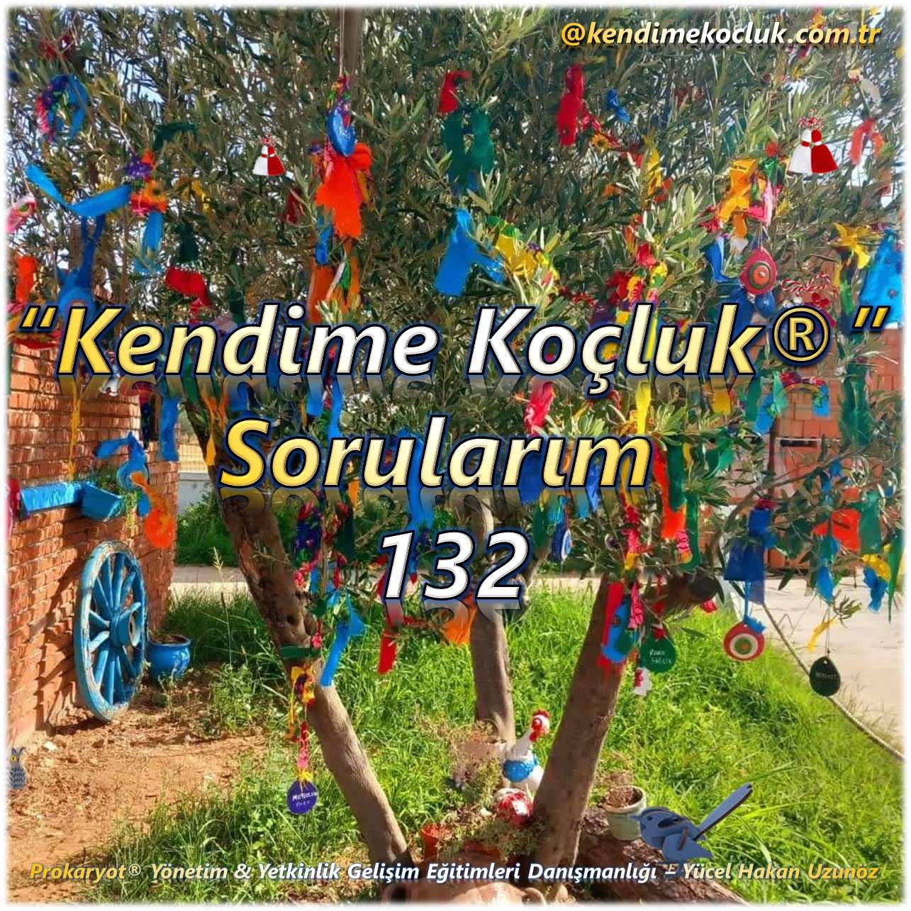 Kendime Koçluk Sorularım