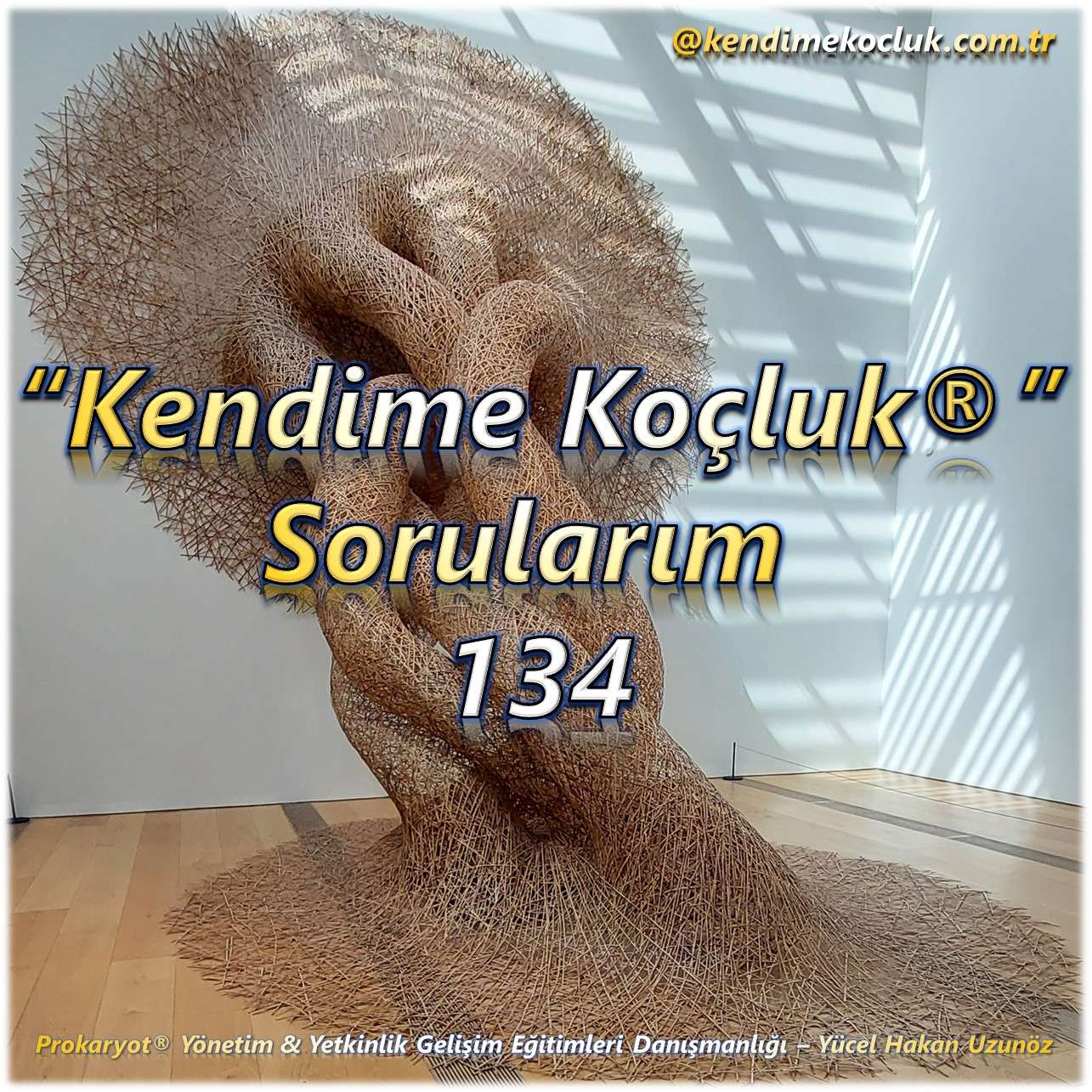 Kendime Koçluk Sorularım