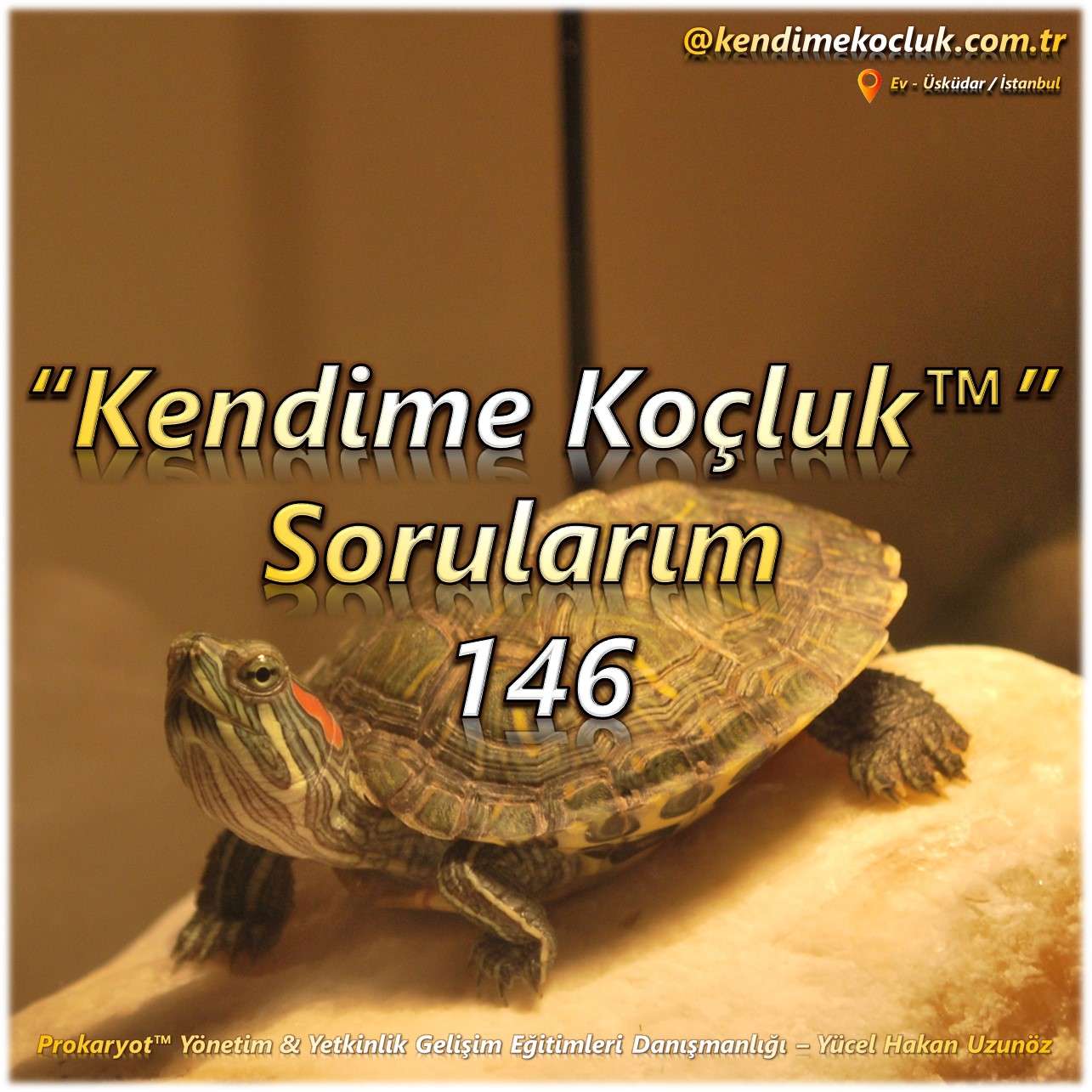 Kendime Koçluk Sorularım