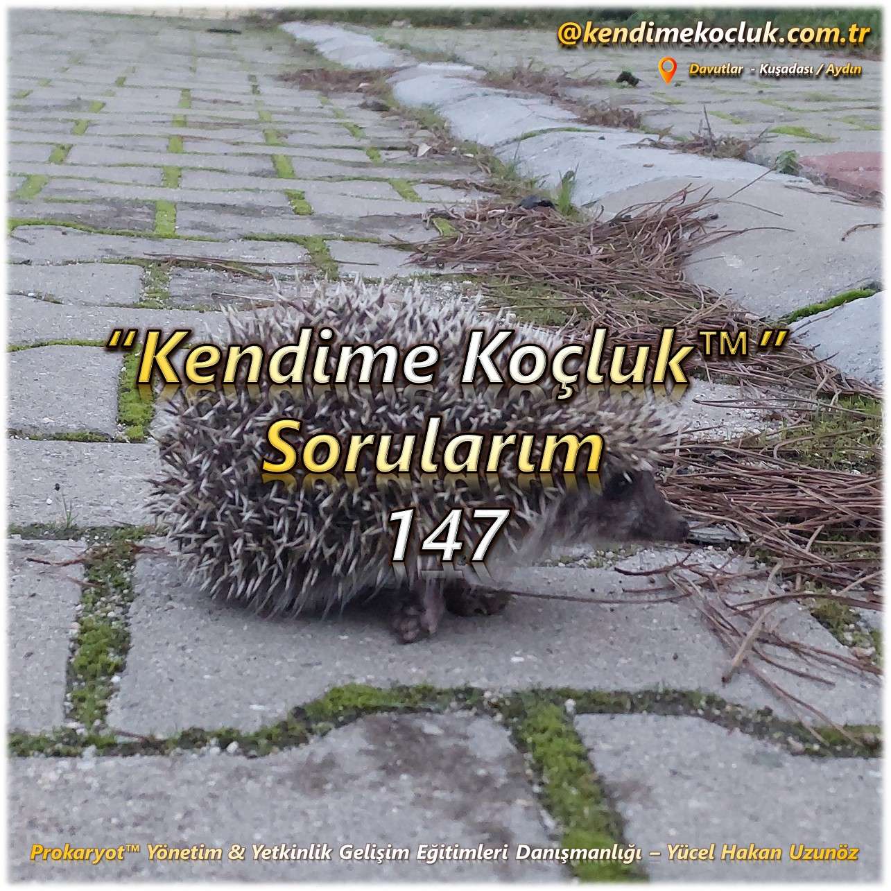 Kendime Koçluk Sorularım